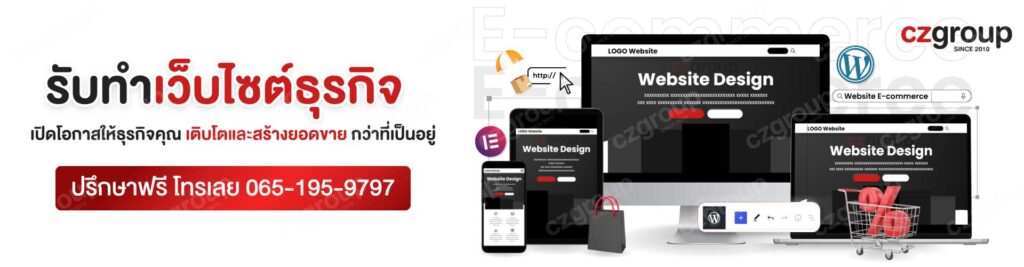 Banner บริการ cz - รับทำเว็บไซต์