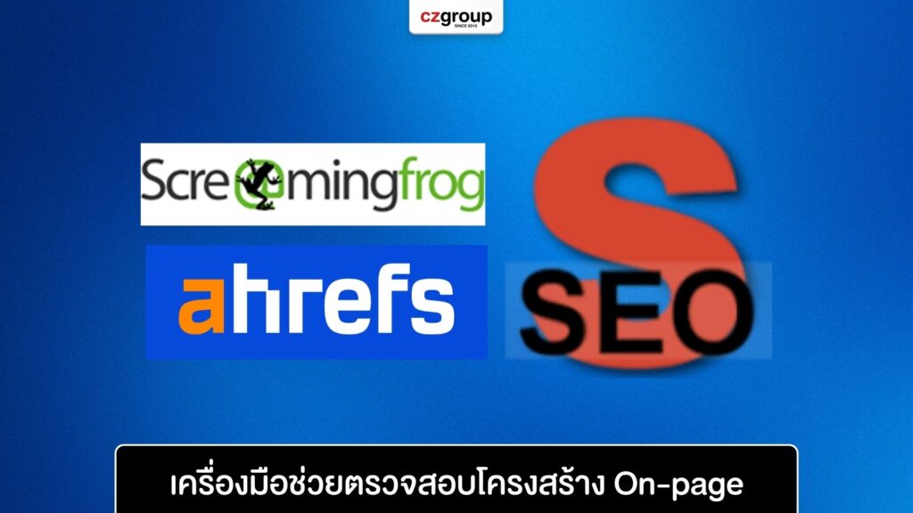 เครื่องมือช่วยตรวจสอบโครงสร้าง On-page