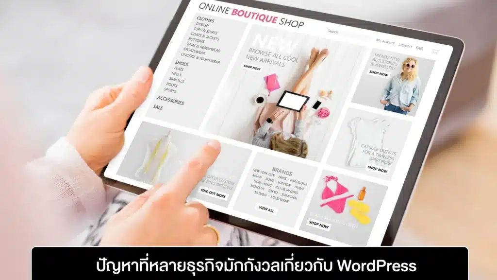 ปัญหาที่หลายธุรกิจมักกังวลเกี่ยวกับ WordPress